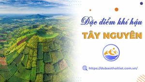 Khí hậu Tây Nguyên có đặc điểm gì? Tây Nguyên có mấy mùa? Đặc điểm từng mùa?