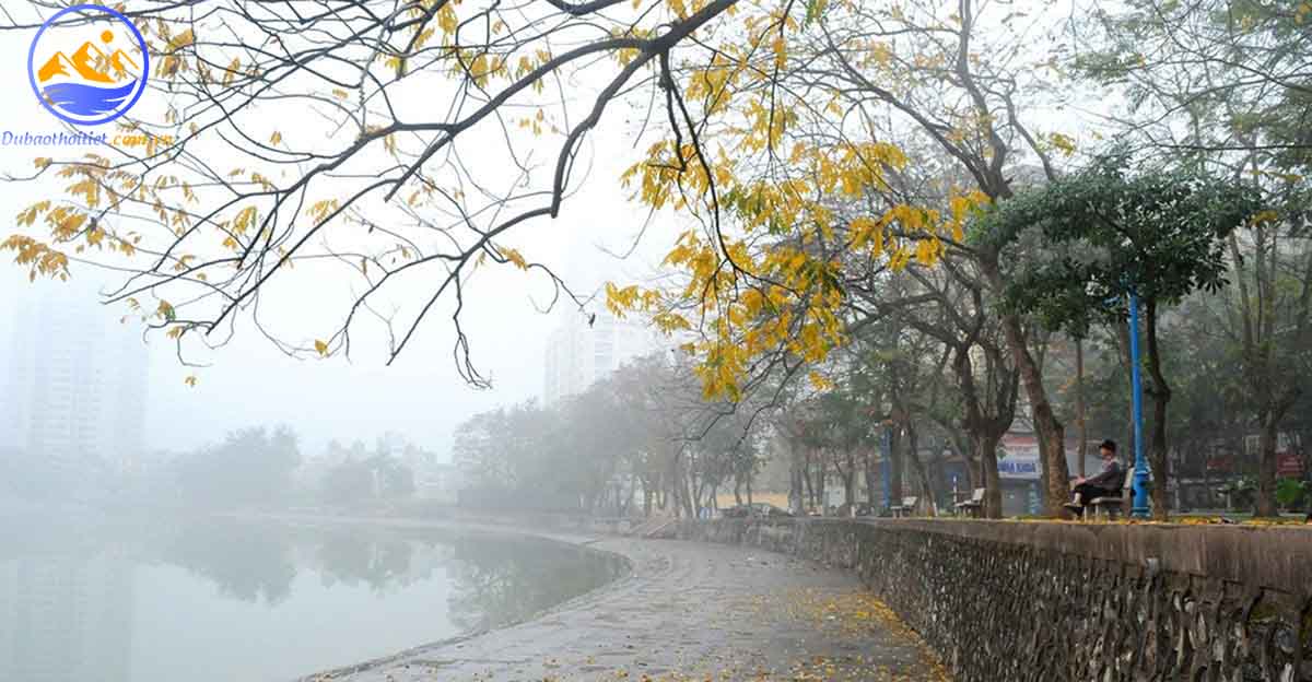 Mưa phùn là gì?