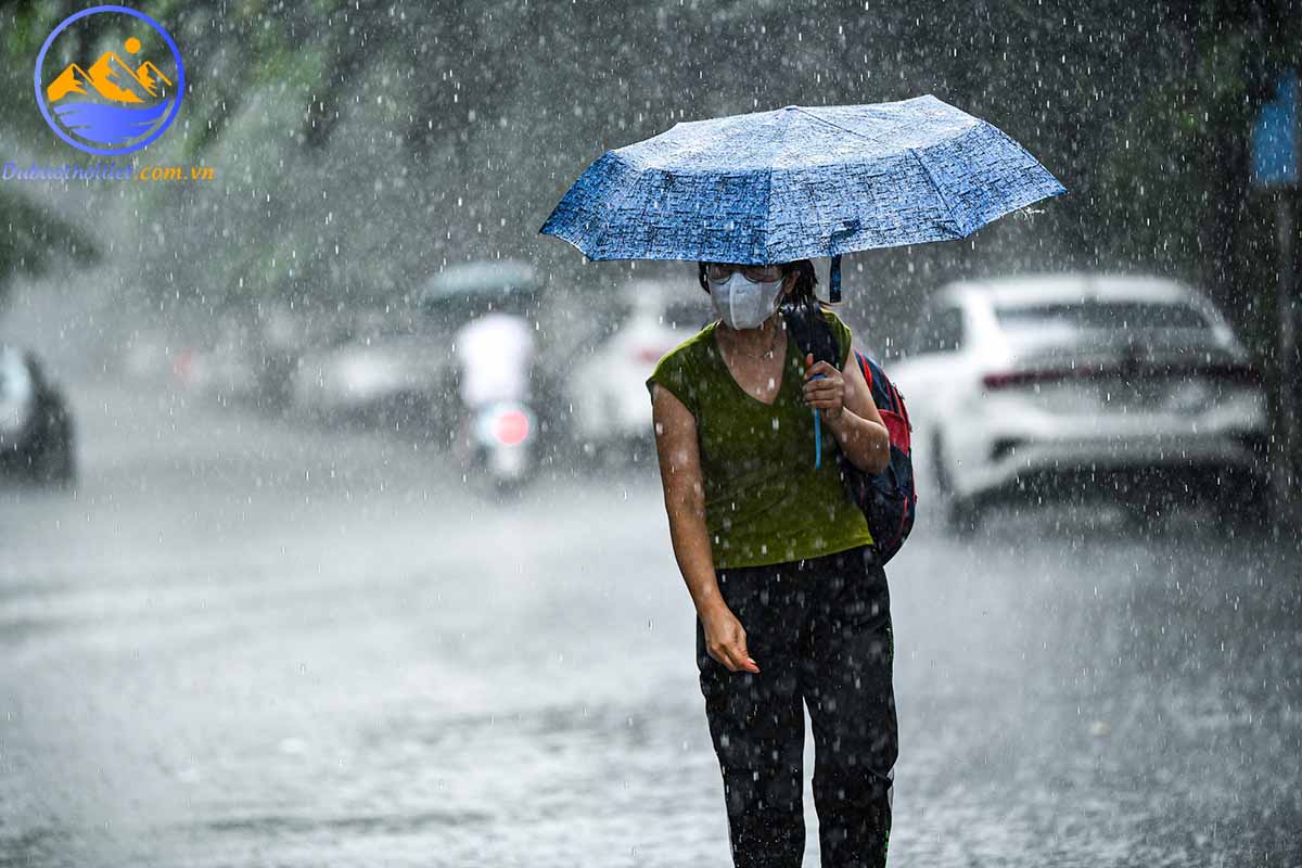 Mưa phùn và mưa rào