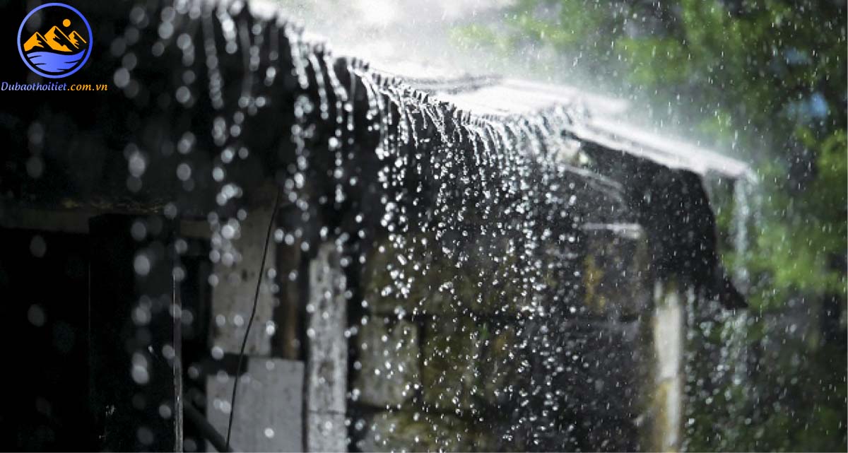 Mưa rào xuất hiện do sự ngưng tụ của hơi nước