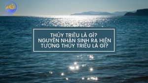 Thủy triều là gì? Nguyên nhân sinh ra hiện tượng thủy triều là như thế nào?