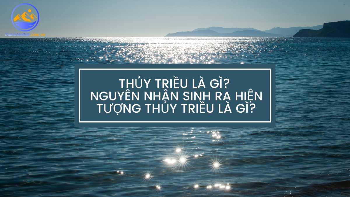 Thủy triều là gì? Nguyên nhân sinh ra hiện tượng thủy triều là gì?
