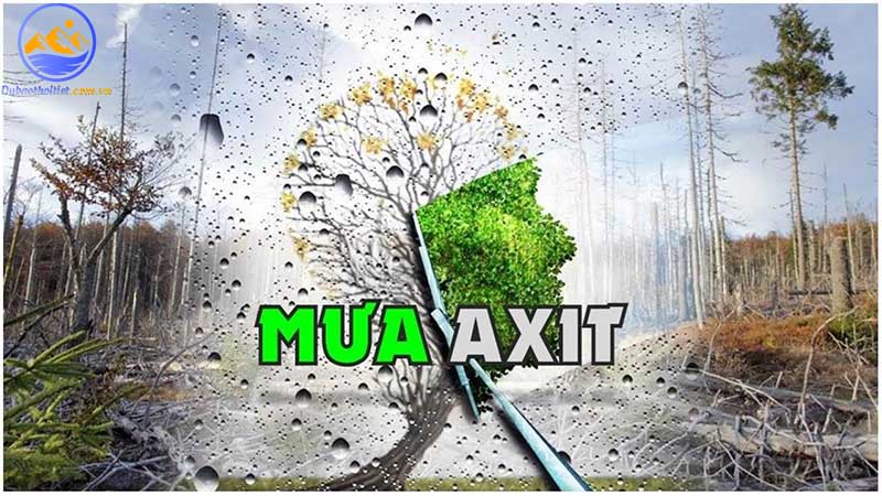 Mưa axit