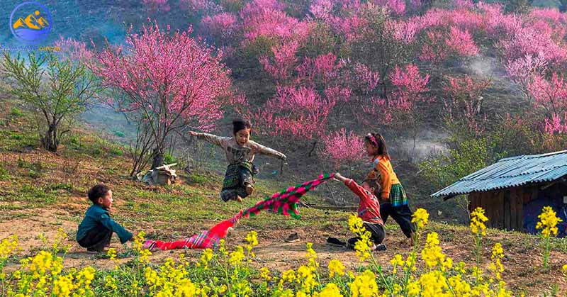 Miền Bắc có mấy mùa? - Mùa xuân miền Bắc